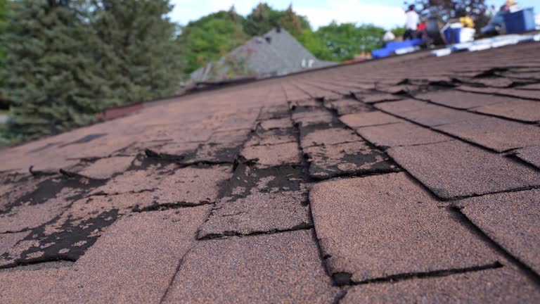 Best Metal Roofing Installation  in Iron River, MI