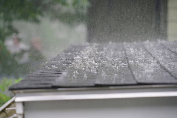 Best Rubber Roofing (EPDM, TPO)  in Iron River, MI
