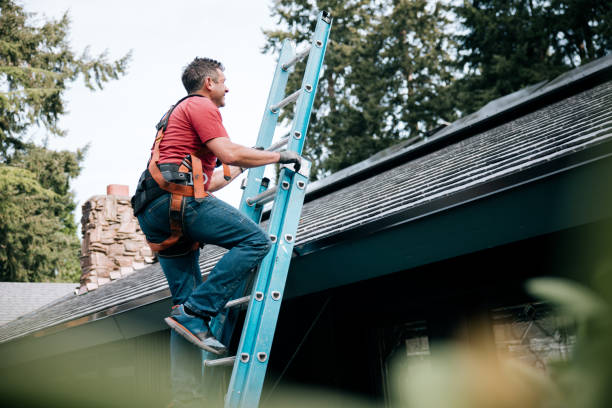 Best Emergency Roof Repair Services  in Iron River, MI