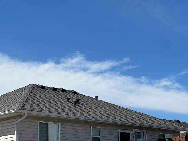 Best Cold Roofs  in Iron River, MI